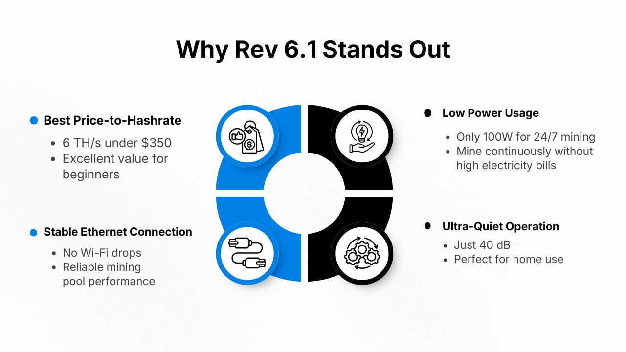 What Makes the Rev 6.1 Stand Out